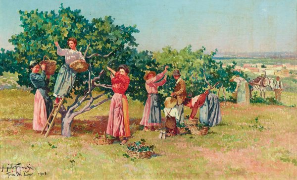 Harvest In Tuscany by Angiolo Tommasi - Hand-Painted Oil Painting Reproduction