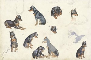 Studies van een hond by Anna Maria Kruijff Oil Painting