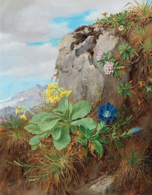 Alpine Flowers by Anna Stainer-Knittel Oil Painting