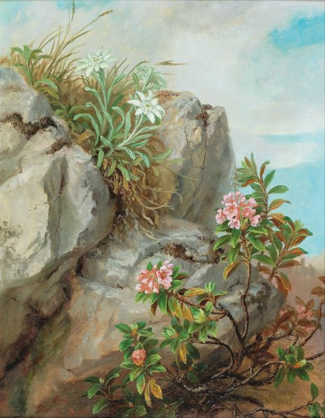 Alpine Roses by Anna Stainer-Knittel - Hand-Painted Oil Painting Reproduction