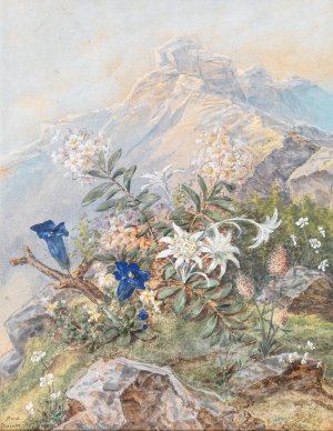 Enzian und Edelweiss by Anna Stainer-Knittel Oil Painting