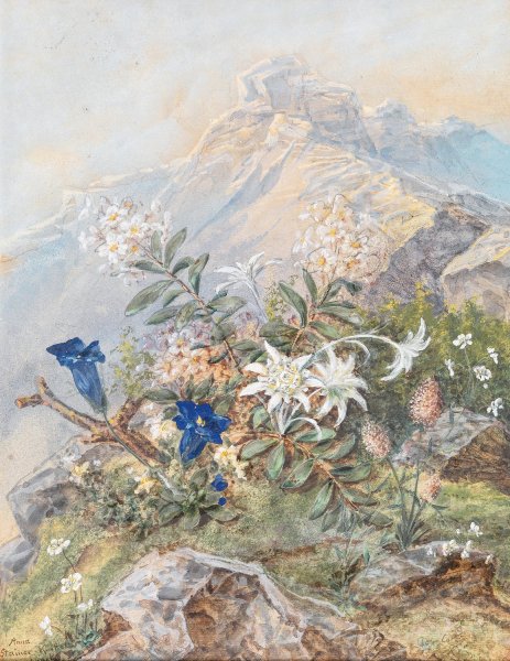 Enzian und Edelweiss by Anna Stainer-Knittel - Hand-Painted Oil Painting Reproduction