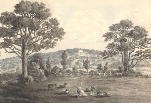 Clayberry from Field, May 1829 by Anne Rushout Oil Painting