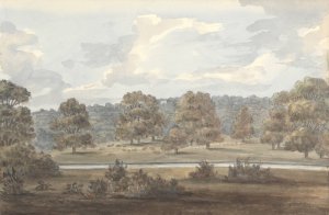From Dining Room Window, Wanstead Grove by Anne Rushout Oil Painting