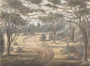 From Flower Garden, Wanstead Grove by Anne Rushout Oil Painting