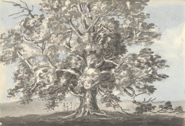 Three Figures Standing under a Large Tree  by Anne Rushout - Hand-Painted Oil Painting Reproduction