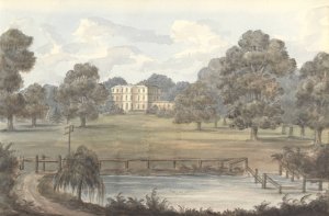 Wanstead Grove, Essex by Anne Rushout Oil Painting