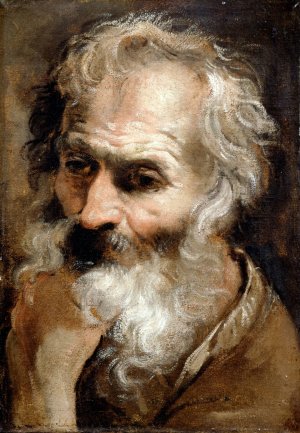 Head of an Old Man by Annibale Carracci Oil Painting