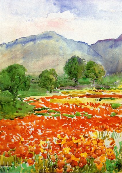 Main Product Photo of Field of Poppies, near Spoleto Italy Painting by Annie G Sykes