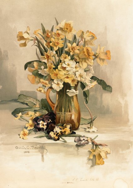 Jonquils  by Annie Nowell - Hand-Painted Oil Painting Reproduction