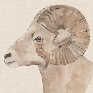 Bighorn Profile I Oil Painting by Annie Warren - Contemporary