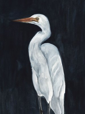 Calm Great Egret I by Annie Warren Oil Painting