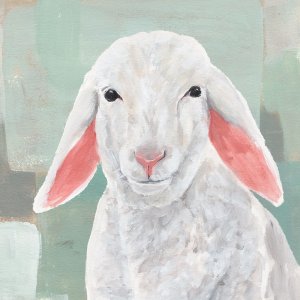 Cotton Ball I Oil painting by Annie Warren
