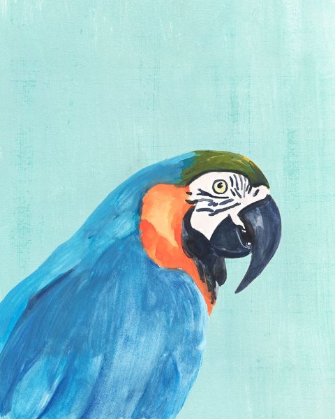 Main Product Photo of Exotic Bird on Blue I Painting by Annie Warren