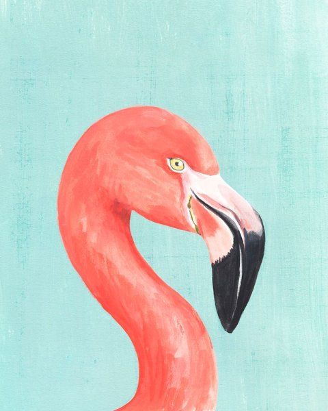 Exotic Bird on Blue IV by Annie Warren - Hand-Painted Oil Painting Reproduction