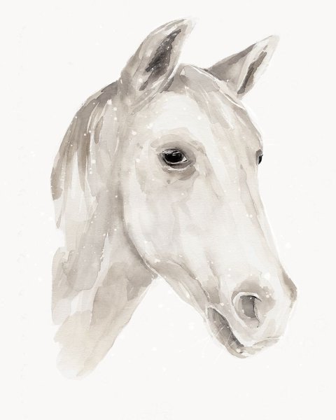 Main Product Photo of Ivory Stallion I Painting by Annie Warren