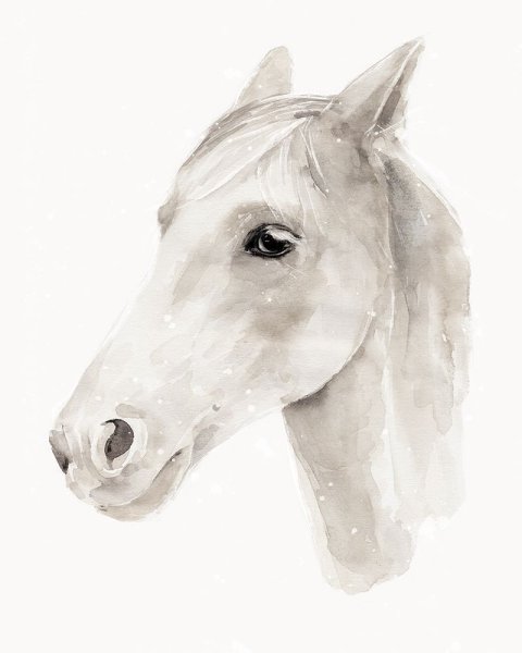 Main Product Photo of Ivory Stallion II Painting by Annie Warren