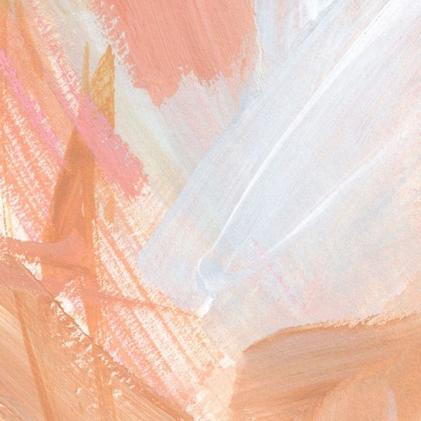 Pink Vanilla I by Annie Warren - Hand-Painted Oil Painting Reproduction