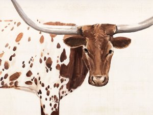 Spotted Steer I by Annie Warren Oil Painting