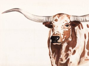 Spotted Steer II by Annie Warren Oil Painting