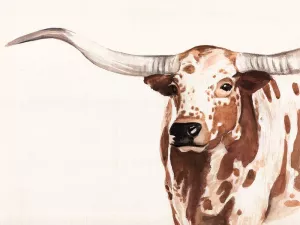 Spotted Steer II by Annie Warren Oil Painting