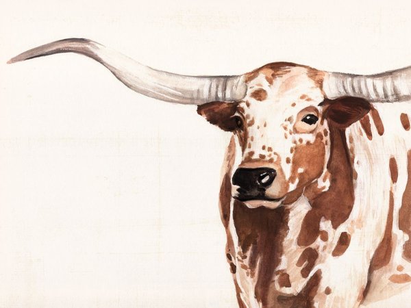 Spotted Steer II by Annie Warren - Hand-Painted Oil Painting Reproduction