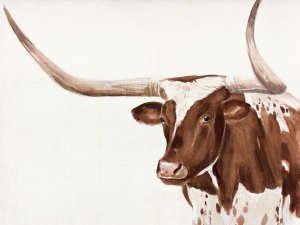 Spotted Steer III by Annie Warren Oil Painting