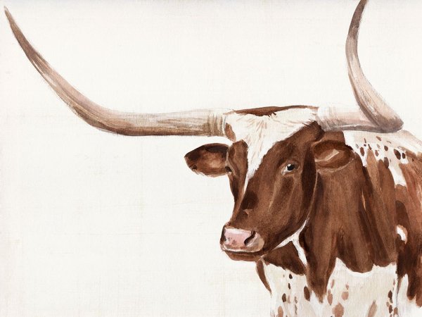 Spotted Steer III by Annie Warren - Hand-Painted Oil Painting Reproduction