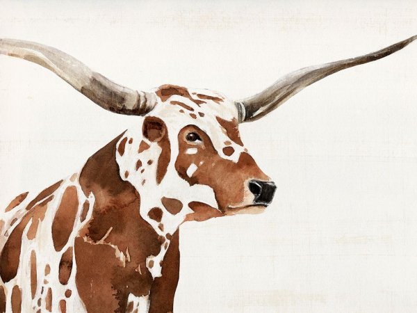 Main Product Photo of Spotted Steer IV Painting by Annie Warren