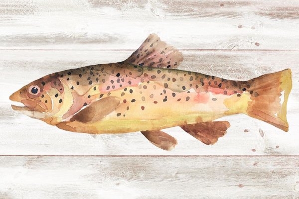 Main Product Photo of Spotted Trout I Painting by Annie Warren
