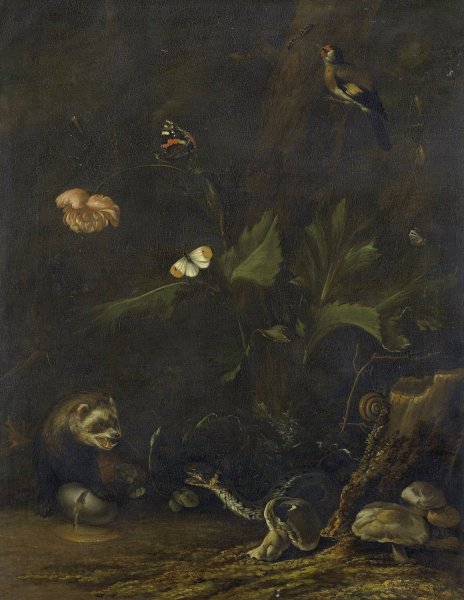 Animals and Plants  by Anthonie Van Borssom - Hand-Painted Oil Painting Reproduction