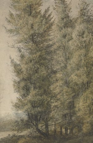 Hoge dennen aan de rand van een bos by Anthonie Waterloo Oil Painting