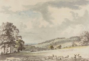 Deer Resting in Albury Park by Anthony Devis Oil Painting
