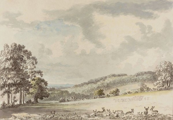 Main Product Photo of Deer Resting in Albury Park  Painting by Anthony Devis