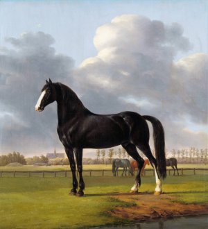 Adriaan van der Hoop's Trotter 'De Vlugge' by Anthony Oberman Oil Painting