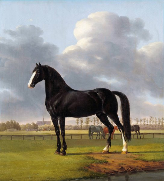 Adriaan van der Hoop's Trotter 'De Vlugge' by Anthony Oberman - Hand-Painted Oil Painting Reproduction