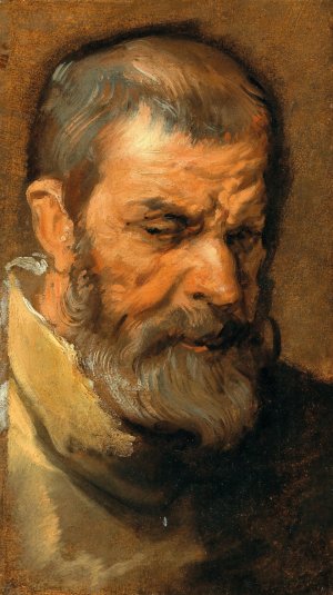 Head Of A Bearded Man by Anthony Van Dyck Oil Painting