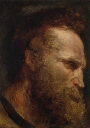 Head study of a bearded man by Anthony Van Dyck Oil Painting