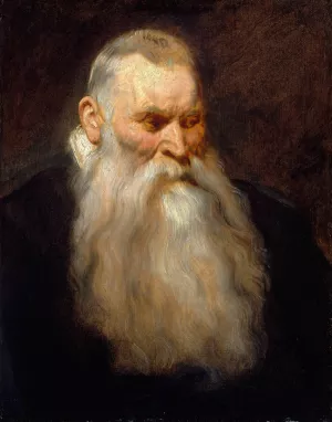 Study Head of an Old Man with a White Beard by Anthony Van Dyck Oil Painting
