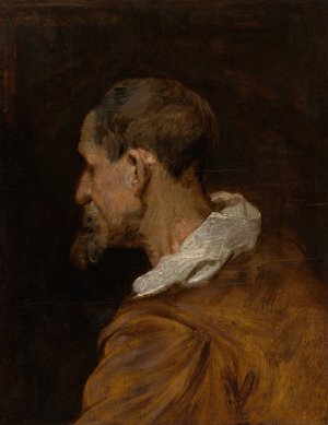 Study Head by Anthony Van Dyck Oil Painting