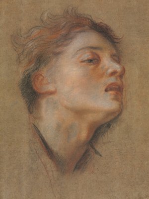 Head of a Young Man by Antoine Coypel Oil Painting