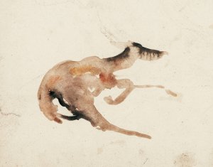 A Doe Lying by Antoine-Louis Barye Oil Painting