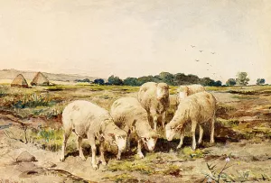 Grazing Sheep by Anton Mauve - Oil Painting Reproduction