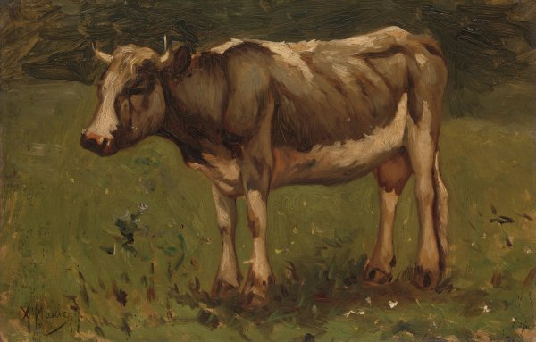 Main Product Photo of Koe  Painting by Anton Mauve