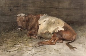Liggende jonge stier by Anton Mauve Oil Painting