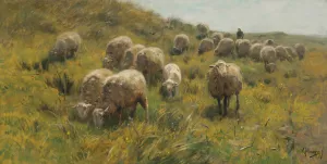 On The Dunes by Anton Mauve Oil Painting