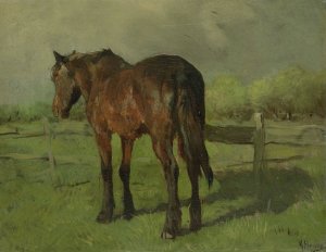Paard by Anton Mauve Oil Painting