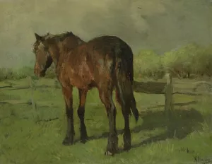 Paard by Anton Mauve Oil Painting