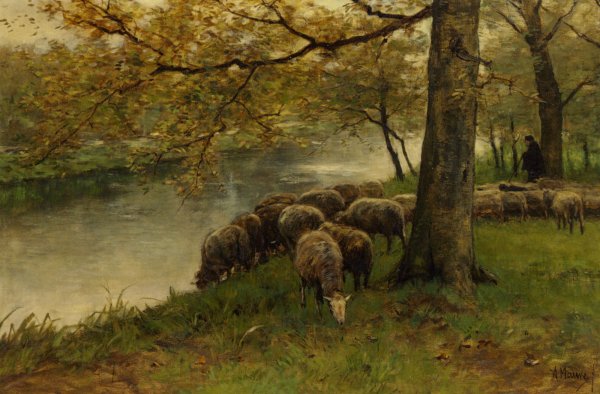 Main Product Photo of Sheep Watering by a River Painting by Anton Mauve