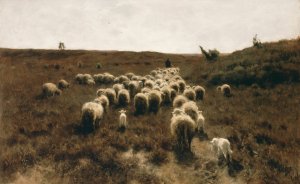 The Return of the Flock, Laren by Anton Mauve Oil Painting